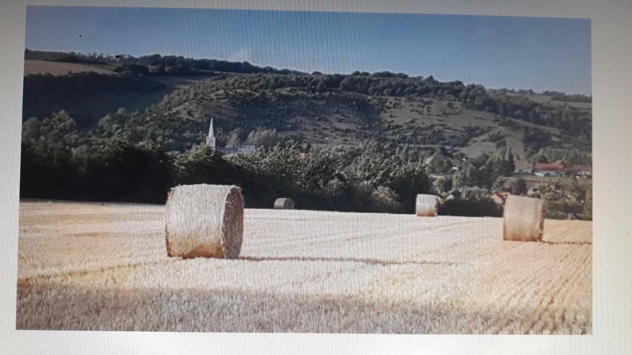 Studio Du Gite Wavrans-sur-l'Aa Exterior foto